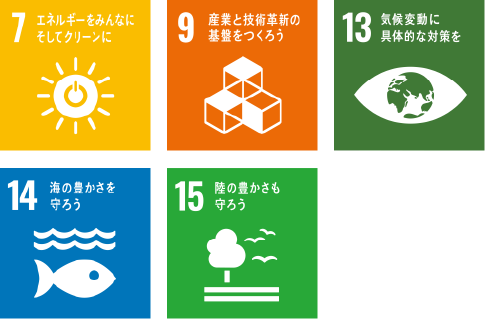 SDG